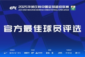 中超第24輪最佳球員候選：瓦科、劉若釩、哈達斯、鐘義浩、茹子楠