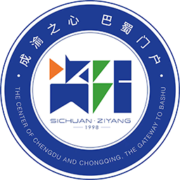 資陽隊