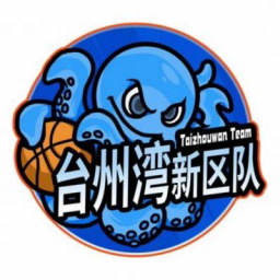 臺州灣新區隊