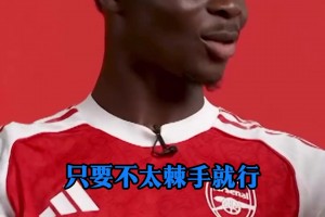 有著英俊臉龐的舒梅切爾！請用一個詞評價拉門斯十月的表現！