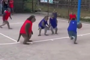 起猛了，竟然看到一群猴哥打籃球！現在AI這么逼真了嘛